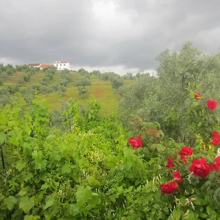 בית נופש Cortijo 