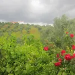 Будинок відпочинку Cortijo 