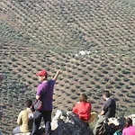 Будинок відпочинку Cortijo 