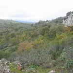Cortijo 
