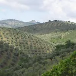 Cortijo 