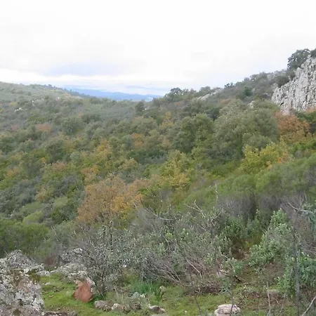 Cortijo 