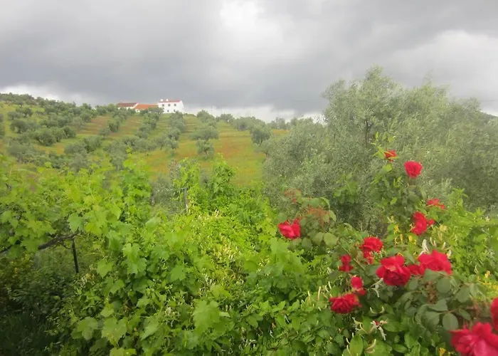 בית נופש Cortijo 